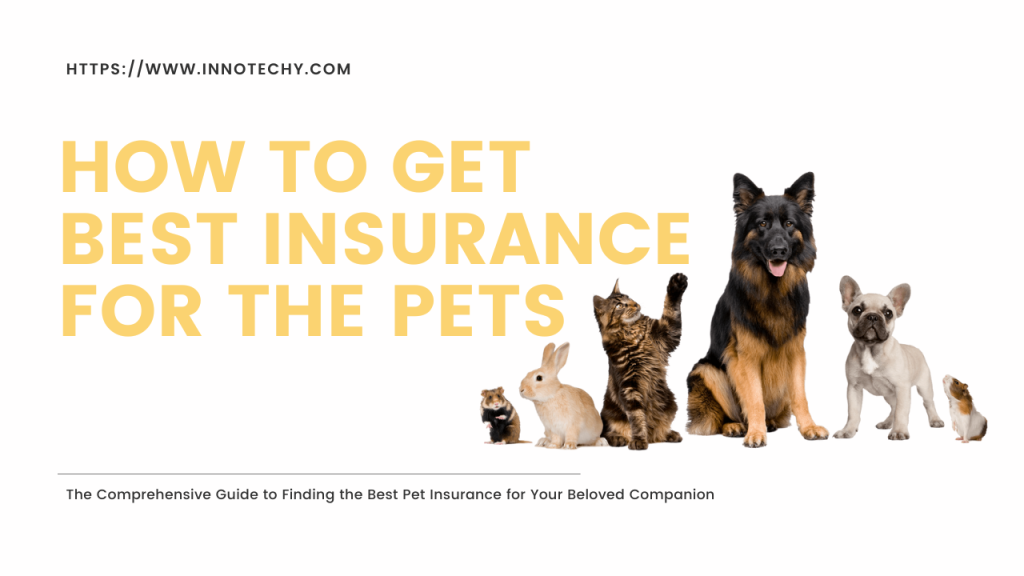 Best Pet Insurance