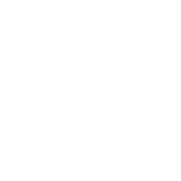 SEO services